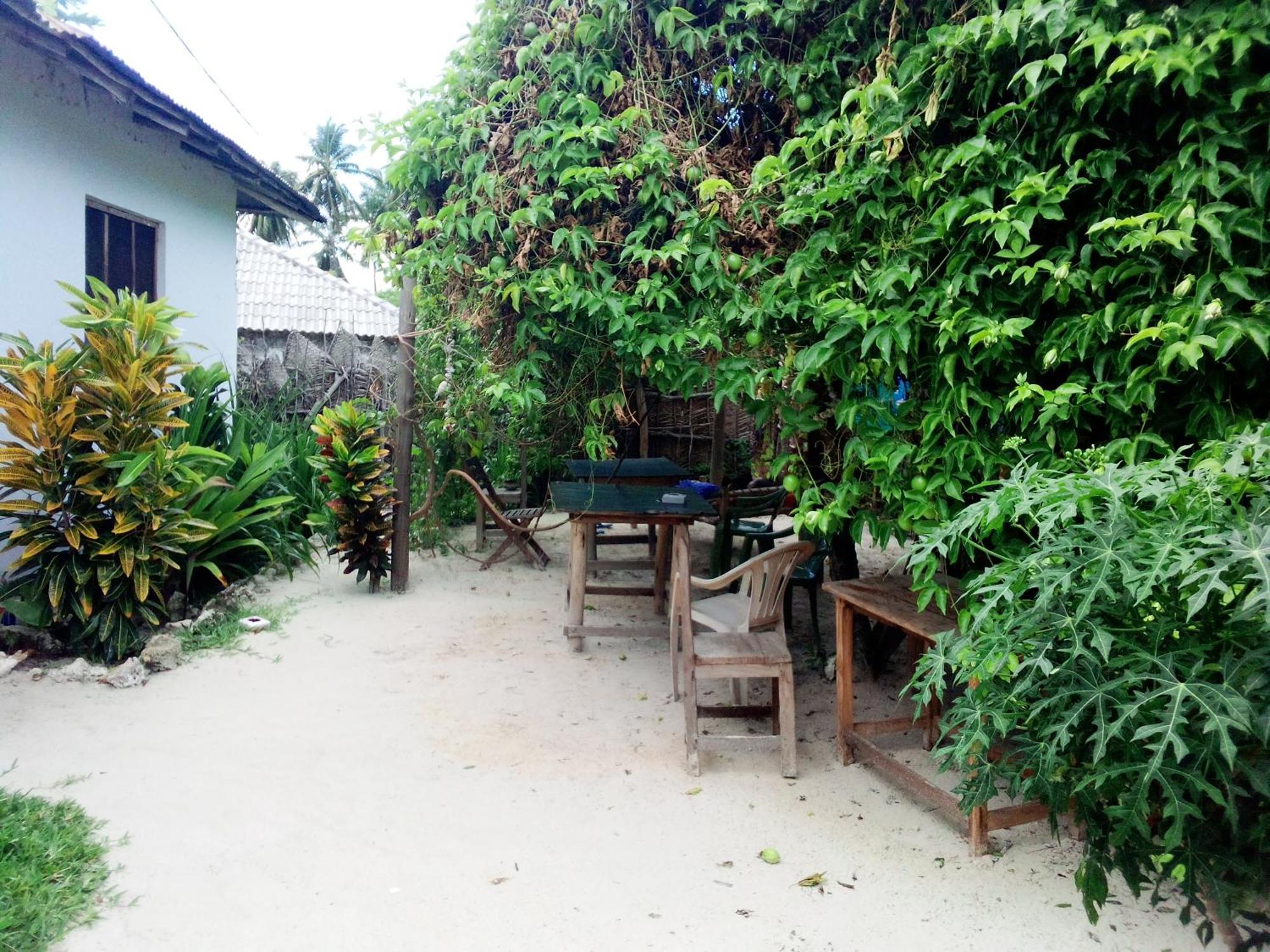 Moringe Home Stay - Village House Jambiani  Szoba fotó